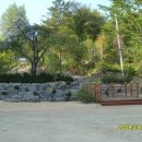 금강초등학교 이미지