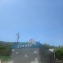안양 삼막애견공원 무료 애견운동장 솔직 후기