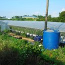 금메달농장 이미지