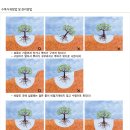 광일 이미지