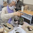 마음쓰담쓰담 원예치료 테라리움 만들기 | 이끼 테라리움출강 복지관 어르신 원예치료 정서치유 프로그램
