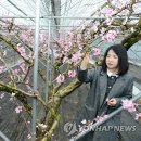 춘향골 이미지