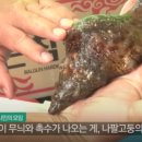 시장식당 이미지