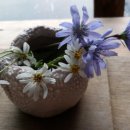 생활도예 & 핸드페인팅 이미지