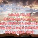 엘림한의원 이미지