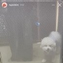 밥먹고 술먹고 이미지