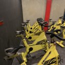 더블핏 스튜디오 이미지