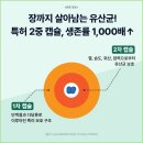 고양이라서 행복해 이미지