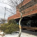 멍쉐프 | 제주 흑백요리사 정호영 우동카덴 내돈내산 후기 - 메뉴추천, 주말웨이팅 꿀팁