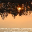 상선재 이미지