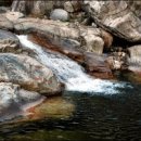 명플러스 약국 이미지