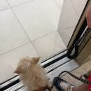 정훈동물병원 이미지