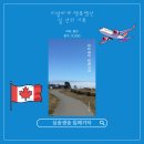 용진유통 | [책 리뷰] &#34;싱숭생숭 집에가자&#34; - 용진 [인디펍 독립출판 서포터즈 44기]