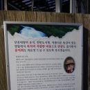 김삿갓유원지송어횟집 이미지