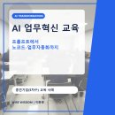 와이즈템플릿 | 기업 AI 업무혁신 교육: 프롬프트 작성에서 노코드-업무자동화까지