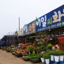 꽃향기를가꾸는남자 이미지