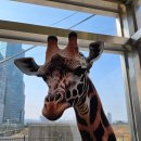 창조미술학원 | 관악구미술학원 서울대&amp;노량진 창조의아침·애니창아 통합전시회 후기~~~~