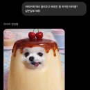 다오니분식