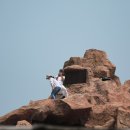 철광산 공연장 이미지