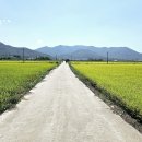 사포회관 이미지