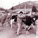 비둘기근린공원 이미지