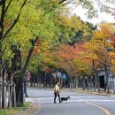 국립김해박물관 화장실 이미지
