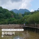 원수산 생태습지2 | [경북/문경] 아이와 가볼 만한 곳｜지질생태교육·산책이 모두 가능한 자연 명소, 돌리네습지