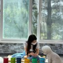 보들보들 유치원 이미지