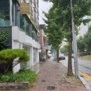 이천중 사거리 네이버블로그