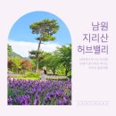 허브향 가득 남원 지리산 허브밸리 전북 아이와 가볼만한곳 주차장