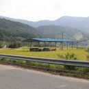 비지1리 이미지