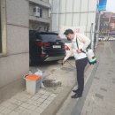 티에스방역