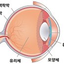 경희미한의원 네이버블로그