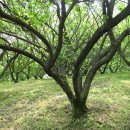 유성농장 이미지