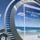 싹디 이미지