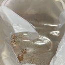 동백아구찜 이미지