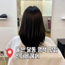 인더라인25(광명1호점) | 울산 미용실 유목민들 정착지 달동 염색 맛집 인더비헤어 추천