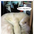 놀아줘 이미지