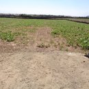 무릉보건진료소 이미지