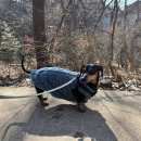 바우스쿨 이미지