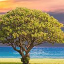 [지방교회] 침례 : 끝냄과 싹틈 이미지