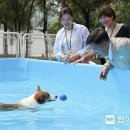 멍집사 이미지
