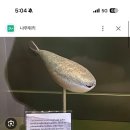 한국지엠서대전서비스센타(주) | Tokyo 100825~130825