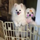 혜인산부인과의원 이미지