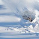 오늘도PC 이미지