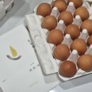 구운란 택배추천 프레시티지몰 잡내없이 고소한 구운란 30구 택배 후기