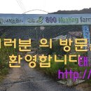 법인알프스농원 이미지