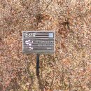 논산시민공원 이미지