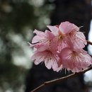 기억의 순간 이미지