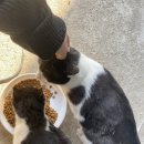 형주농원 이미지